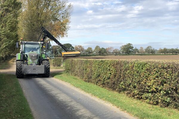 Hedge Cutting