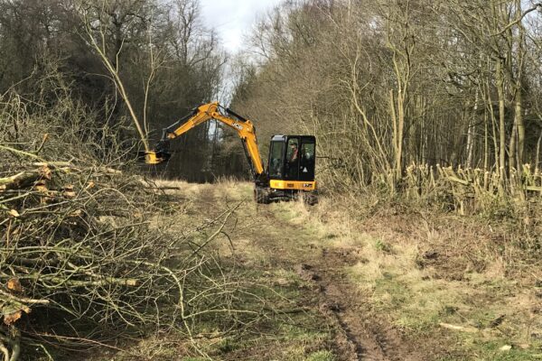 Tree Shear 2 Tree Shear 2